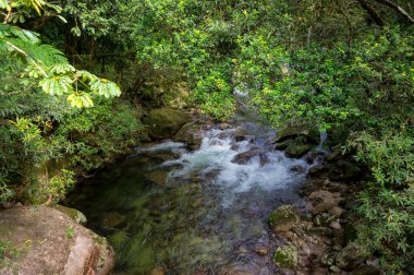 Daintree Ulusal Parkı, FNQ, Avustralya 'daki Mossman Vadisi' nde yürüyüş macerası. Bereketli yağmur ormanlarını, akan Mossman Nehri 'ni ve bu tropikal yabanın dingin güzelliğini tecrübe edin.