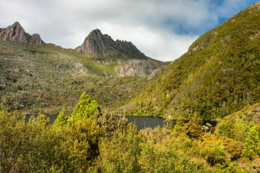 Tazmanya 'da orman yürüyüşü, büyüleyici Güvercin Gölü ve Beşik Dağı. Bu macera nefes kesici bir manzara, engebeli manzaralar ve doğa ile huzurlu bir bağ sunuyor.
