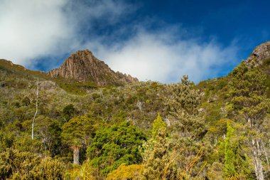 Tazmanya 'da orman yürüyüşü, büyüleyici Güvercin Gölü ve Beşik Dağı. Bu macera nefes kesici bir manzara, engebeli manzaralar ve doğa ile huzurlu bir bağ sunuyor.