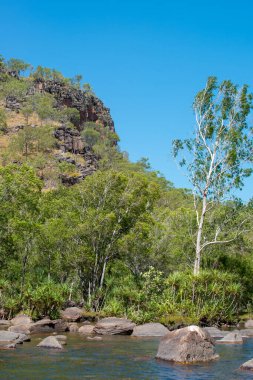 Kayalık çıkıntıların ve sık çalılıkların olduğu engebeli taşra manzarası. Avustralya 'nın vahşi güzelliğini vurgulayan seyahat, doğa ve macera projeleri için mükemmel.