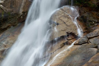 Avustralya 'nın Queensland kentindeki UNESCO Dünya Mirası' nda yer alan Cassowary Sahili 'ndeki Murray Falls. Bu nefes kesen şelale bereketli yağmur ormanlarıyla çevrili. Huzurlu ve pitoresk bir doğa deneyimi sunuyor..