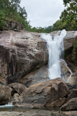 Avustralya 'nın Queensland kentindeki UNESCO Dünya Mirası' nda yer alan Cassowary Sahili 'ndeki Murray Falls. Bu nefes kesen şelale bereketli yağmur ormanlarıyla çevrili. Huzurlu ve pitoresk bir doğa deneyimi sunuyor..