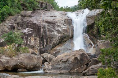 Avustralya, FNQ 'nun Cairns bölgesindeki vahşi doğa ormanı bir orman macerası için mükemmel. Bu tropikal cennette yoğun yağmur ormanlarını, yemyeşil alanları ve engebeli arazileri keşfedin.