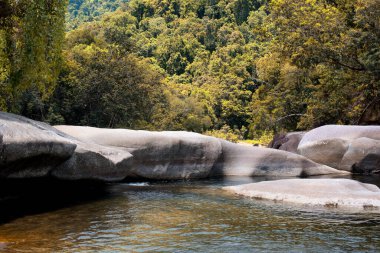 Avustralya, FNQ 'nun Cairns bölgesindeki vahşi doğa ormanı bir orman macerası için mükemmel. Bu tropikal cennette yoğun yağmur ormanlarını, yemyeşil alanları ve engebeli arazileri keşfedin.