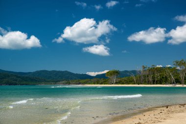 Avustralya 'nın FNQ kentindeki Daintree Ulusal Parkı' ndaki plaj doğal güzelliği ve yemyeşil yağmur ormanları ile tanınıyor. Bu suların tuzlu su timsahlarına ev sahipliği yapması ve vahşi ve evcilleştirilmemiş bir görünüme sahip olması nedeniyle dikkatli olunması tavsiye edilir..