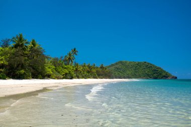 Avustralya 'nın FNQ kentindeki Daintree Ulusal Parkı' ndaki plaj doğal güzelliği ve yemyeşil yağmur ormanları ile tanınıyor. Bu suların tuzlu su timsahlarına ev sahipliği yapması ve vahşi ve evcilleştirilmemiş bir görünüme sahip olması nedeniyle dikkatli olunması tavsiye edilir..