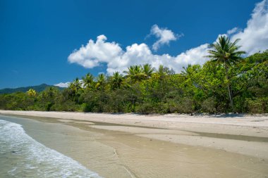 Avustralya 'nın FNQ kentindeki Daintree Ulusal Parkı' ndaki plaj doğal güzelliği ve yemyeşil yağmur ormanları ile tanınıyor. Bu suların tuzlu su timsahlarına ev sahipliği yapması ve vahşi ve evcilleştirilmemiş bir görünüme sahip olması nedeniyle dikkatli olunması tavsiye edilir..
