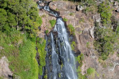 Springbrook Ulusal Parkı, Queensland, Avustralya 'da nefes kesici bir manzara. Bereketli yağmur ormanlarının ve vahşi akarsuların tadını çıkarın. Huzurlu ve canlı bir doğal manzara yaratın. Keşif ve rahatlama için mükemmel.