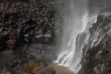 Springbrook Ulusal Parkı, Queensland, Avustralya 'da nefes kesici bir manzara. Bereketli yağmur ormanlarının ve vahşi akarsuların tadını çıkarın. Huzurlu ve canlı bir doğal manzara yaratın. Keşif ve rahatlama için mükemmel.