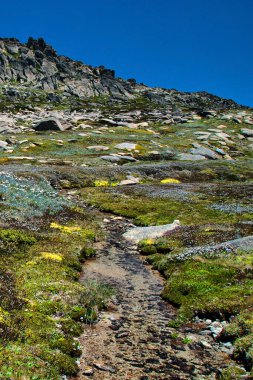 Karlı Dağlar Sahne, Avustralya