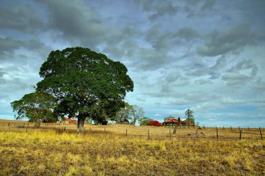 Aborjin Kaya Sanatı, Kuzey Bölgesi, Avustralya
