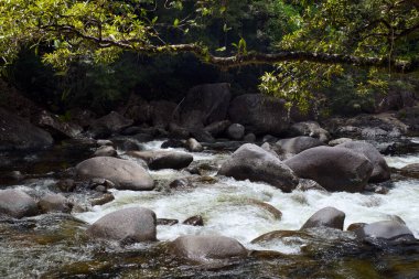 Mossman Nehri, Daintree Ulusal Parkı, Queensland, Avustralya