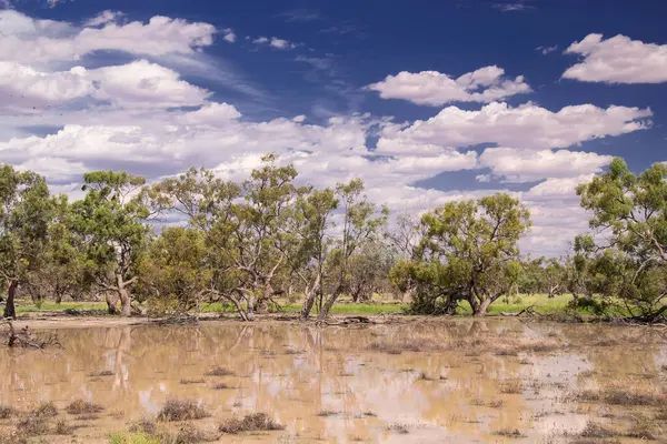 stock image Australian Outback after rain