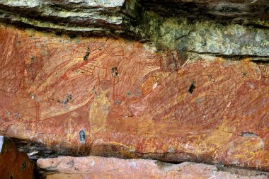 Avustralya 'nın kırsal kesimlerinde çalılık yürüyüş ve Avustralya' nın kuzeyindeki antik kaya sanatına bakmak.