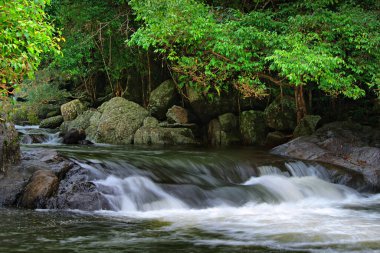 Kristal çağlayanlar, Redlynch Vadisi, Uzak Kuzey Queensland, Avustralya