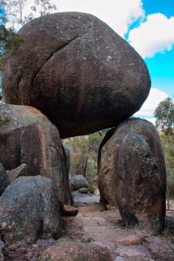 Girraween Ulusal Parkı, Queensland, Avustralya