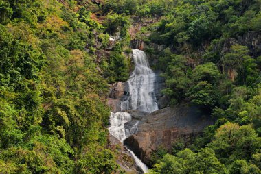 Sürpriz Şelale, Barron Boğazı, Kuzey Queensland, Avustralya