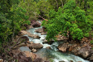 Tully Gorge, Uzak Kuzey Queensland, Avustralya
