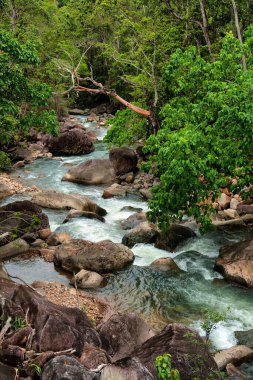 Tully Gorge, Uzak Kuzey Queensland, Avustralya