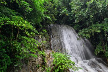 Şelaleli yağmur ormanı manzarası, Barron Gorge, Uzak Kuzey Queensland, Avustralya