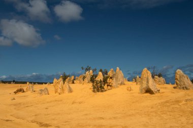 Zirve Çölü, Batı Avustralya, Avustralya