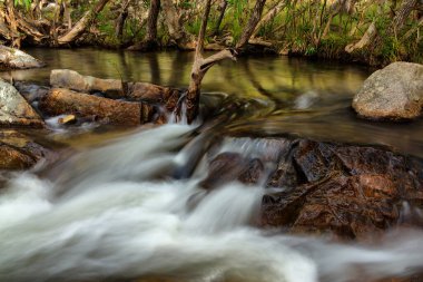 Emerald Creek, Atherton Tabloları, Queensland, Avustralya