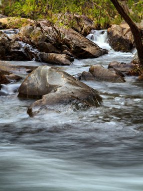 Emerald Creek, Atherton Tabloları, Queensland, Avustralya