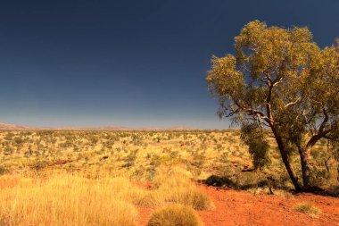 Outback Scenery, Pilbara, Batı Avustralya, Avustralya