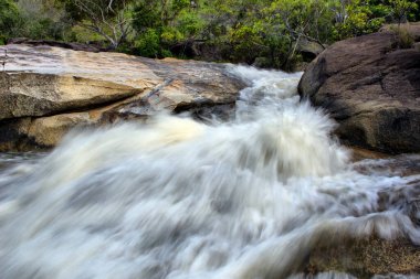 Emerald Creek Şelalesi, Lamb Range, Atherton Tabelands, Queensland, Avustralya