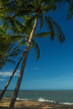 Kuzey Queensland, Avustralya 'da plaj