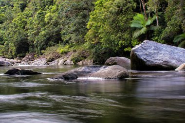 Mossman Nehri, Daintree Ulusal Parkı, Queensland, Avustralya