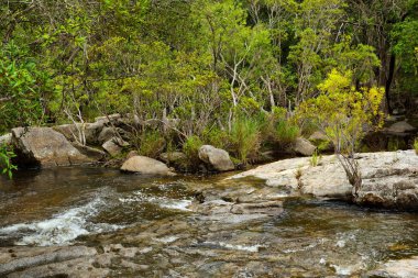 Emerald Creek, Atherton Tabloları, Queensland, Avustralya