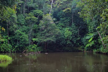 Mobo Krateri, Atherton Tabloları, Queensland, Avustralya