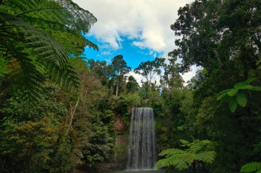 Milla Milla Falls, Atherton Tabloları, Queensland, Avustralya