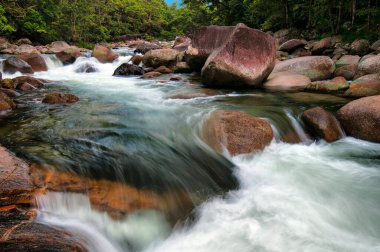 Mossman Nehri, Daintree Ulusal Parkı, Queensland, Avustralya