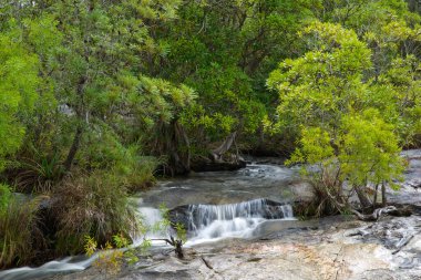 Outback Creek, Queensland, Avustralya