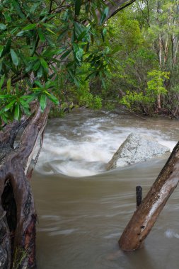 Outback Creek in flood, Queensland, Australia clipart