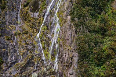 kayalık ayrıntı, Milford Sound, Güney Adası, Yeni Zelanda
