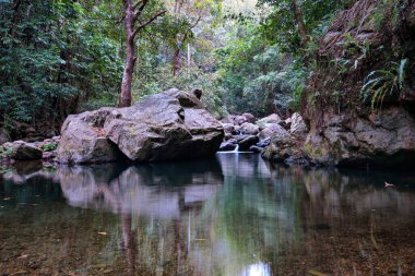 Yağmur Ormanları, Uzak Kuzey Queensland, Avustralya