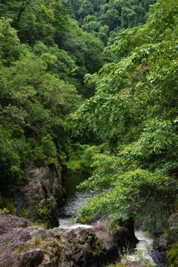 Cairns yakınlarındaki kristal çağlayanlar, Queensland, Avustralya