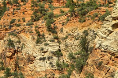 Zion Ulusal Parkı, Utah, ABD