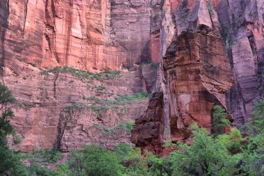 Zion Ulusal Parkı, Utah, ABD