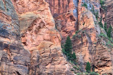 Zion Ulusal Parkı, Utah, ABD