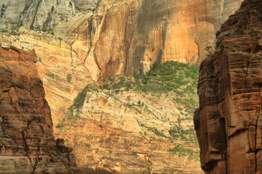 Zion National Park, Utah, bize