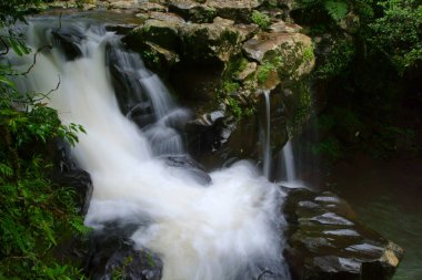 Souita Falls, Atherton Tabloları, Queensland, Avustralya                           