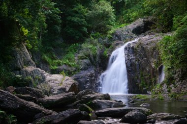  Cairns yakınlarındaki kristal çağlayanlar, Queensland, Avustralya                            