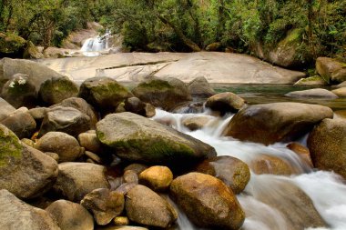 Josephine Falls, Wooroonooran Ulusal Parkı, Queensland, Avustralya