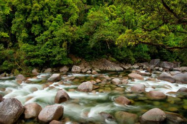 Mossman Nehri, Daintree Ulusal Parkı, Queensland, Avustralya