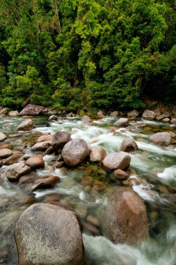 Mossman Nehri, Daintree Ulusal Parkı, Queensland, Avustralya