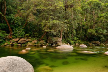 Mossman Nehri, Daintree Ulusal Parkı, Queensland, Avustralya